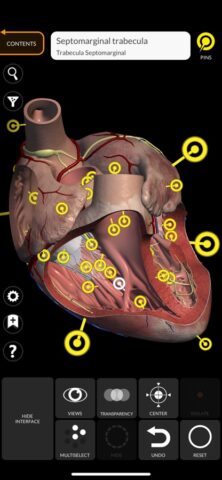 Анатомия — 3D Атлас для iOS