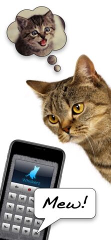 Переводчик на кошачий для iOS