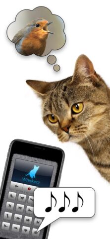 iOS용 고양이 통역 도우미