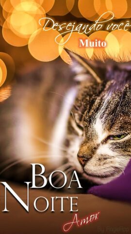 Boa Noite – Goodnight for Android