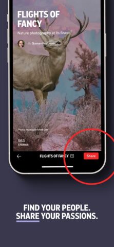 Flipboard: The Social Magazine cho iOS
