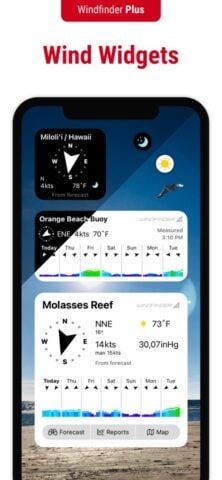 Windfinder: Vento e Meteo per iOS