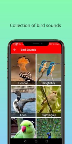 150 Tiergeräusche für Android