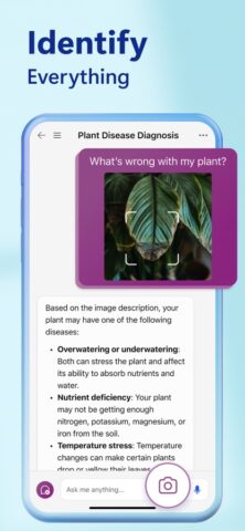 Bing: Conversa IA & GPT-4 para iOS