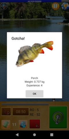 Fishing for Friends per Android