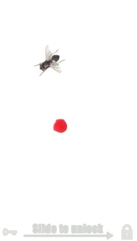 Android 版 Fly simulator: cat toy