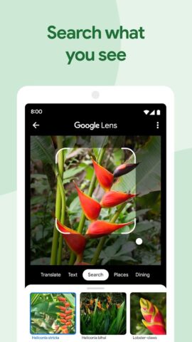 Google Photos за Android