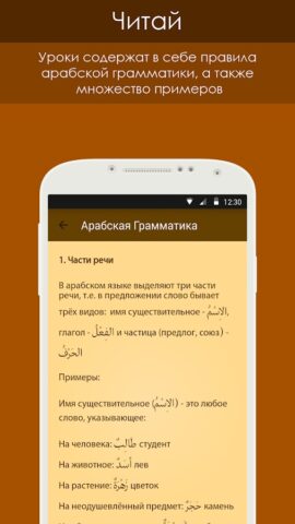 Грамматика арабского языка для Android