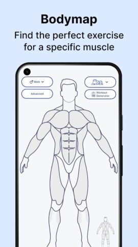 MuscleWiki: Workout & Fitness cho Android