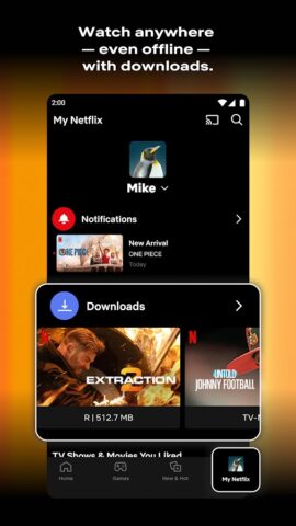 Netflix för Android