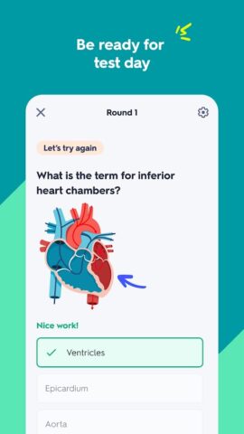 Android용 Quizlet: AI 기반 낱말카드