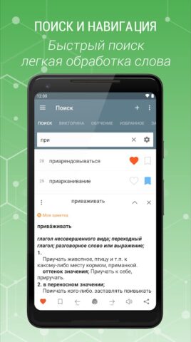 Russian Explanatory Dictionary for Android