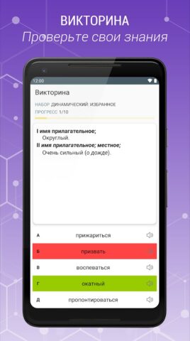 Russian Explanatory Dictionary per Android