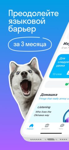 Skyeng: Learn English per iOS
