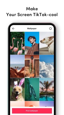 TikTok Live Wallpaper pour Android