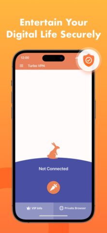 iOS 用 Turbo VPN: 無制限セキュリティのインターネット接続