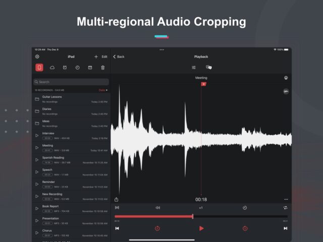 iOS için Ses Kaydedici Pro – Ses Kayıt