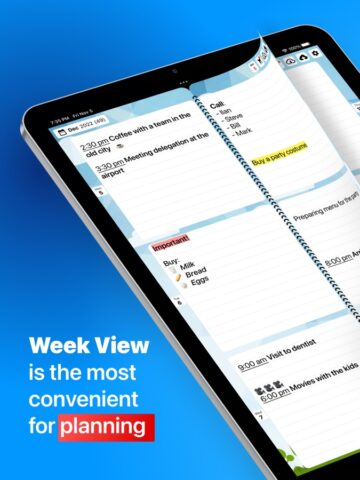 Planificador semanal – agenda para iOS