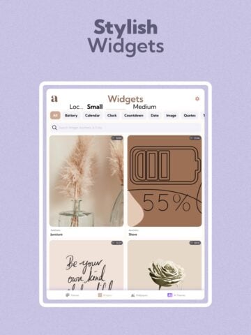 Aesthetic Kit Wallpaper Themes für iOS