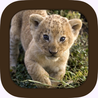 Звуки животных для iOS
