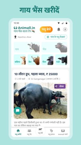 गाय भैंस खरीदें बेचें Animall для Android