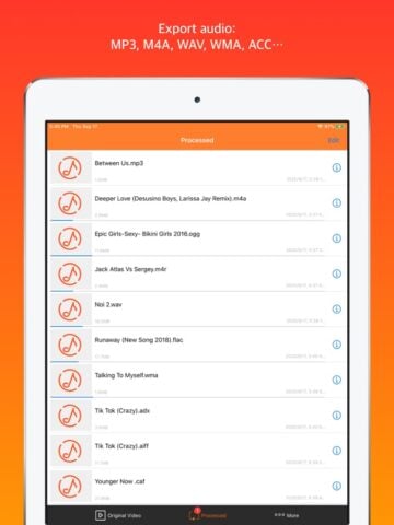 Audio Converter – Extract MP3 for iOS
