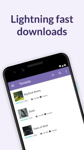 BitTorrent®- Torrent Downloads per Android