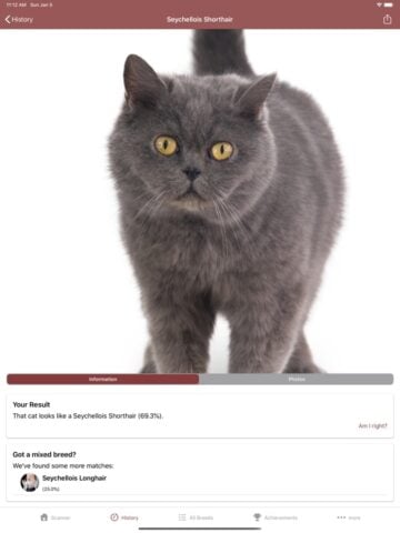 Cat Scanner for iOS