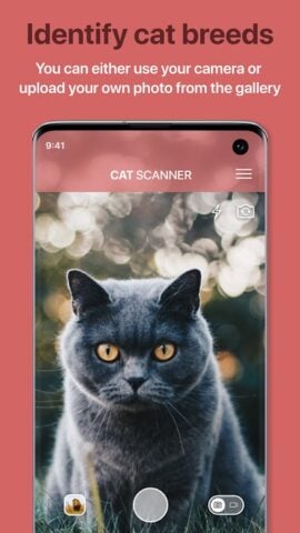Android 版 貓咪鑑定器: 鑑定貓咪的品種