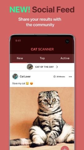 Cat Scanner для Android