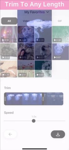 Convert – GIF & Live Wallpaper pour iOS