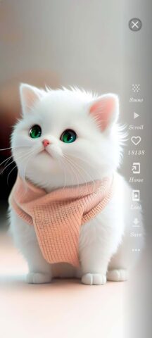 Cute Cat Wallpaper HD لنظام Android