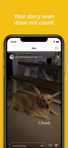 Dim: Ver Stories anonimamente para iOS
