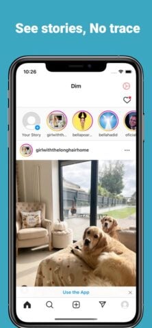 Dim: Anon Story Viewer for IG cho iOS