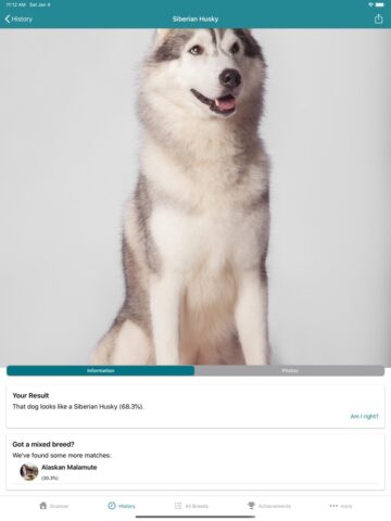 Dog Scanner para iOS