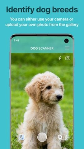 Android 用 Dog Scanner: 犬種の識別