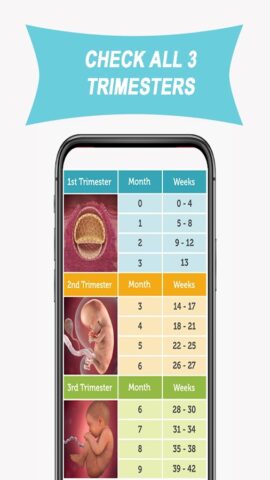 Due Date Calculator Pregnancy per Android