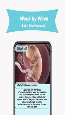 Android용 Due Date Calculator Pregnancy