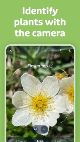 Flora Incognita لنظام Android