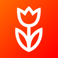 Flowwow: Flowers & Gifts Shop for iOS