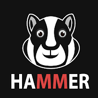 Android 用 Hammer Hamtser VPN : Proxy