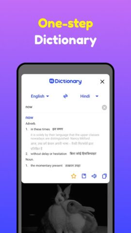Android için Hi Dictionary -135 dil desteği