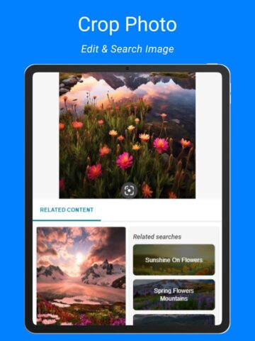 Web Searching & Picture Cross для iOS