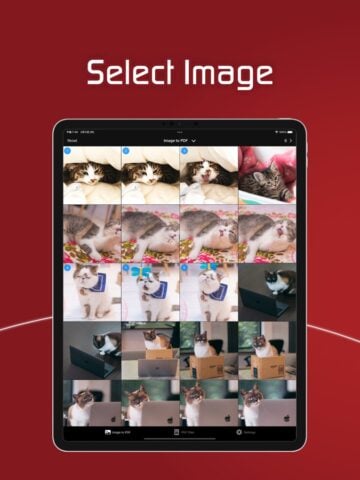 Фото в PDF — Изображение в PDF для iOS