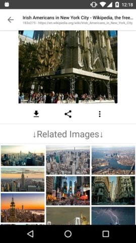 Android 用 画像検索 – ImageSearchMan