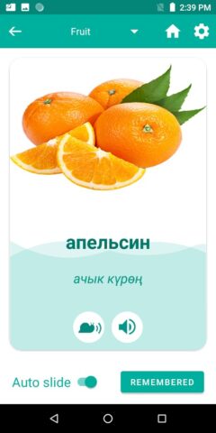 Kyrgyz Russian Translator para Android