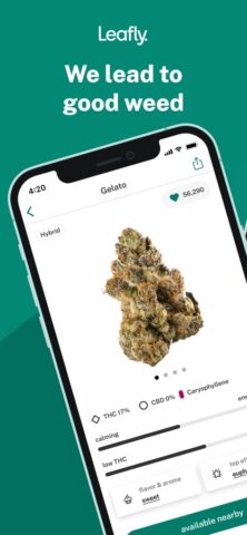 Leafly: Find Weed Near You per iOS