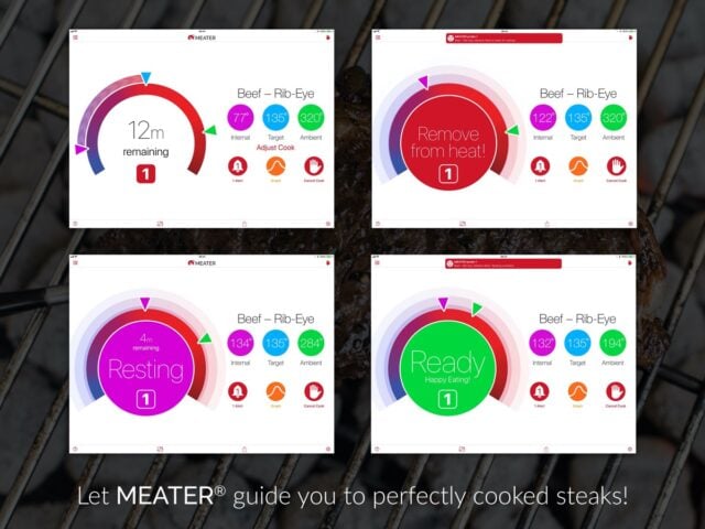 iOS용 MEATER® Smart Meat Thermometer