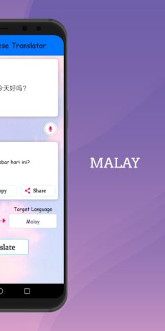 Malay – Chinese Translator for Android