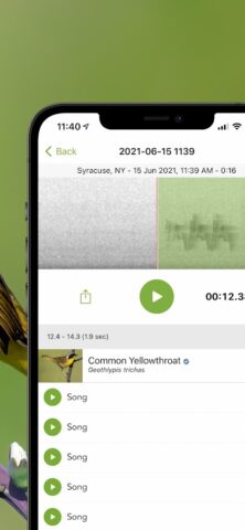 Merlin Bird ID von Cornell Lab für Android